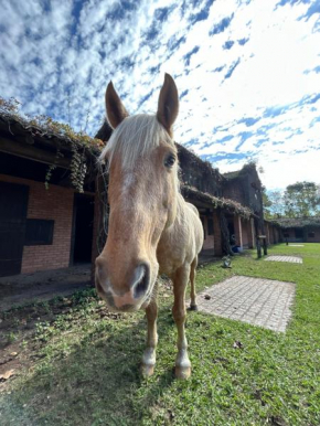 Apartamento no haras